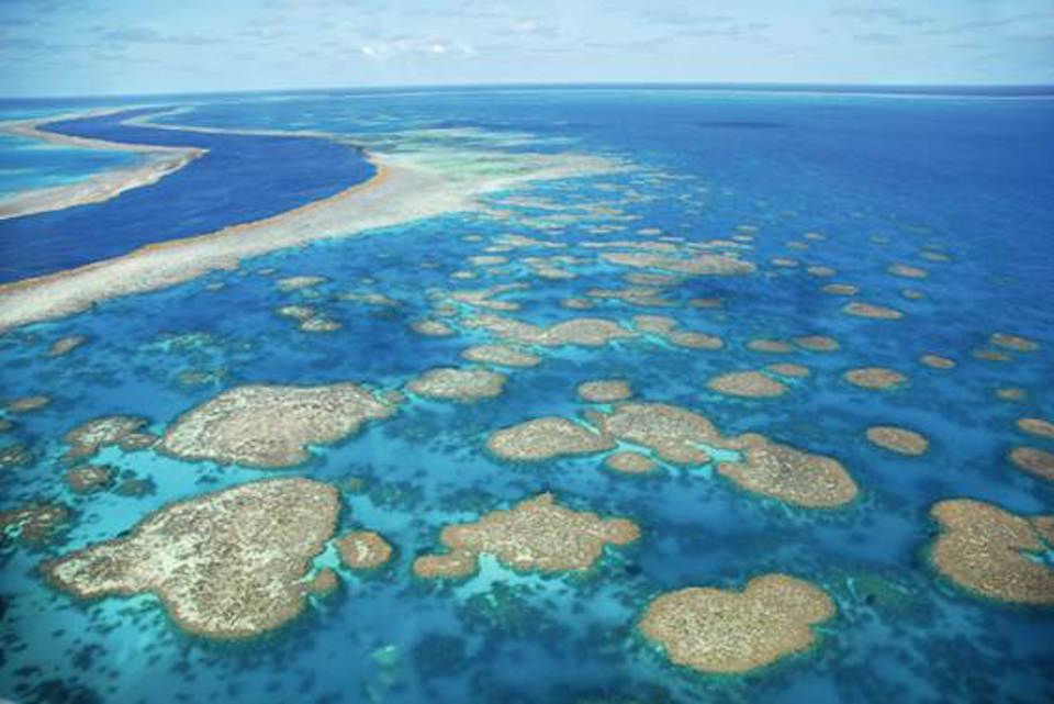  Jaeger-LeCoultre works with UNESCO Marine Heritage sites such has this one: The Great Barrier Reef in Australia © Chantal Ferraro, Getty Images. 